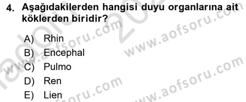 Tıp Terimleri Dersi 2023 - 2024 Yılı (Vize) Ara Sınavı 4. Soru