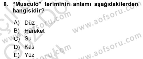 Tıp Terimleri Dersi 2023 - 2024 Yılı (Vize) Ara Sınav Soruları 8. Soru