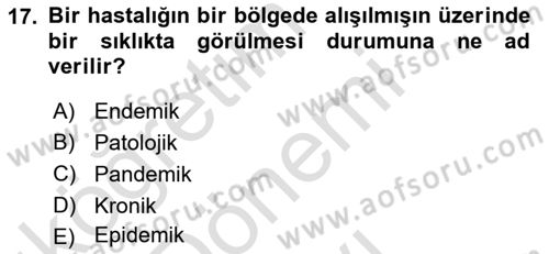 Tıp Terimleri Dersi 2023 - 2024 Yılı (Final) Dönem Sonu Sınav Soruları 17. Soru