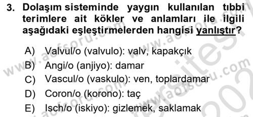Tıp Terimleri Dersi 2023 - 2024 Yılı (Final) Dönem Sonu Sınav Soruları 3. Soru