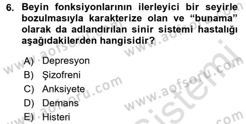 Tıp Terimleri Dersi 2023 - 2024 Yılı (Final) Dönem Sonu Sınav Soruları 6. Soru