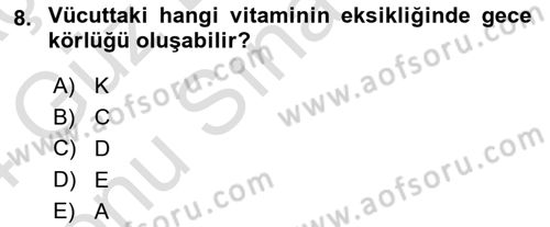 Tıp Terimleri Dersi 2023 - 2024 Yılı (Final) Dönem Sonu Sınav Soruları 8. Soru