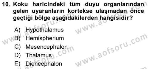 Tıp Terimleri Dersi 2024 - 2025 Yılı (Vize) Ara Sınav Soruları 10. Soru