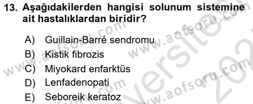 Tıp Terimleri Dersi 2024 - 2025 Yılı (Vize) Ara Sınav Soruları 13. Soru