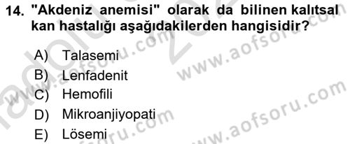 Tıp Terimleri Dersi Ara Sınavı Deneme Sınav Soruları 14. Soru