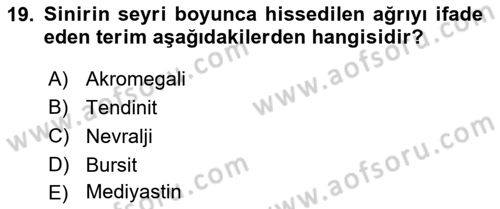 Tıp Terimleri Dersi 2024 - 2025 Yılı (Vize) Ara Sınav Soruları 19. Soru