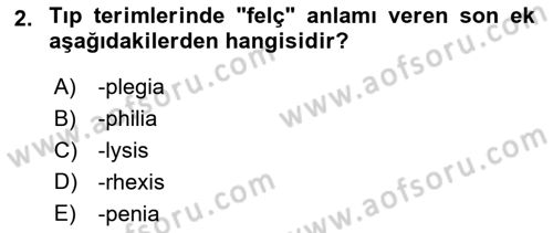 Tıp Terimleri Dersi 2024 - 2025 Yılı (Vize) Ara Sınav Soruları 2. Soru