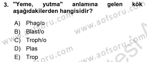 Tıp Terimleri Dersi 2024 - 2025 Yılı (Vize) Ara Sınavı 3. Soru