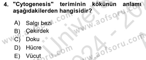 Tıp Terimleri Dersi Ara Sınavı Deneme Sınav Soruları 4. Soru