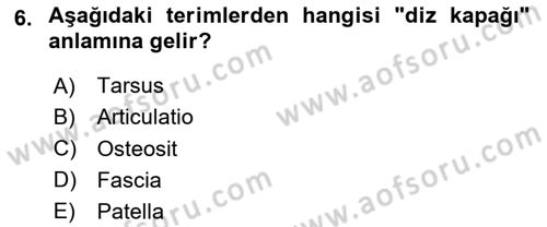 Tıp Terimleri Dersi Ara Sınavı Deneme Sınav Soruları 6. Soru