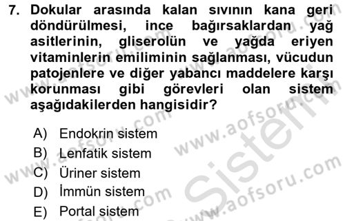 Tıp Terimleri Dersi Ara Sınavı Deneme Sınav Soruları 7. Soru