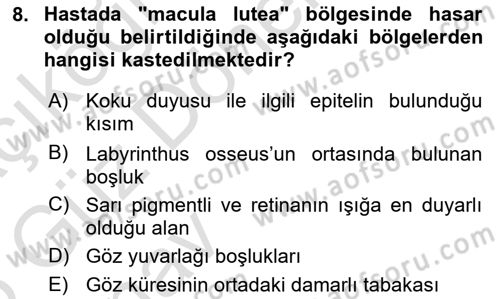 Tıp Terimleri Dersi 2024 - 2025 Yılı (Vize) Ara Sınavı 8. Soru