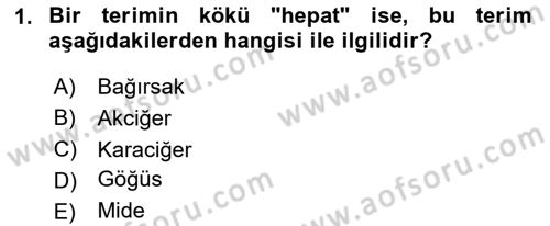 Tıp Terimleri Dersi 2024 - 2025 Yılı (Final) Dönem Sonu Sınav Soruları 1. Soru