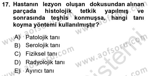 Tıp Terimleri Dersi 2024 - 2025 Yılı (Final) Dönem Sonu Sınav Soruları 17. Soru