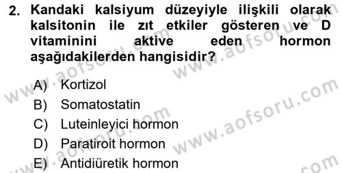 Tıp Terimleri Dersi 2024 - 2025 Yılı (Final) Dönem Sonu Sınav Soruları 2. Soru
