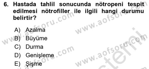 Tıp Terimleri Dersi 2024 - 2025 Yılı (Final) Dönem Sonu Sınav Soruları 6. Soru