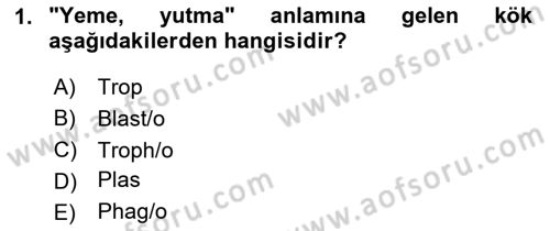 Tıp Terimleri Dersi 2024 - 2025 Yılı Yaz Okulu Sınav Soruları 1. Soru
