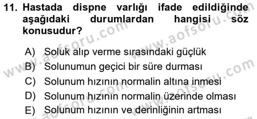 Tıp Terimleri Dersi 2024 - 2025 Yılı Yaz Okulu Sınav Soruları 11. Soru