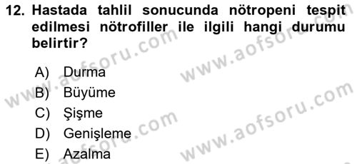 Tıp Terimleri Dersi 2024 - 2025 Yılı Yaz Okulu Sınav Soruları 12. Soru