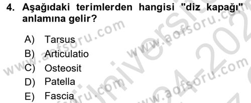 Tıp Terimleri Dersi 2024 - 2025 Yılı Yaz Okulu Sınav Soruları 4. Soru