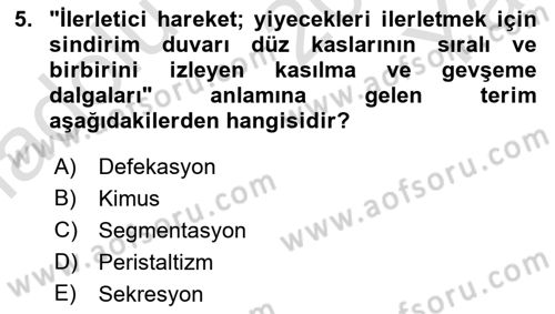 Tıp Terimleri Dersi 2024 - 2025 Yılı Yaz Okulu Sınav Soruları 5. Soru