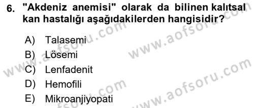 Tıp Terimleri Dersi 2024 - 2025 Yılı Yaz Okulu Sınav Soruları 6. Soru