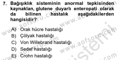 Tıp Terimleri Dersi 2024 - 2025 Yılı Yaz Okulu Sınav Soruları 7. Soru