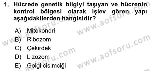 Tıp Terimleri Dersi 2025 - 2026 Yılı (Vize) Ara Sınav Soruları 1. Soru