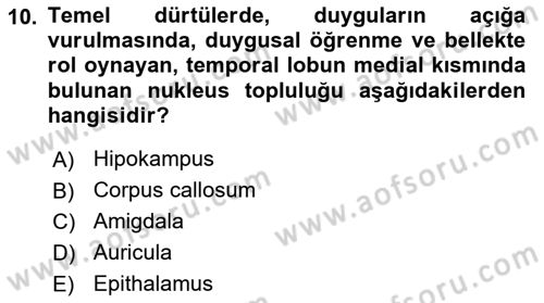 Tıp Terimleri Dersi 2025 - 2026 Yılı (Vize) Ara Sınav Soruları 10. Soru