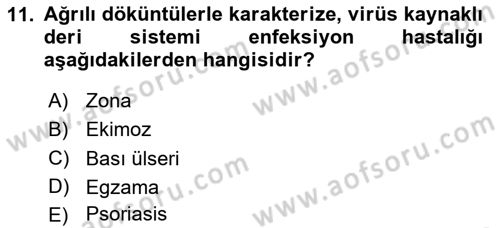 Tıp Terimleri Dersi 2025 - 2026 Yılı (Vize) Ara Sınav Soruları 11. Soru