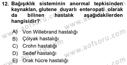 Tıp Terimleri Dersi 2025 - 2026 Yılı (Vize) Ara Sınav Soruları 12. Soru