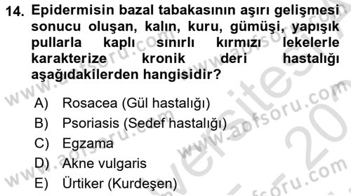 Tıp Terimleri Dersi 2025 - 2026 Yılı (Vize) Ara Sınav Soruları 14. Soru
