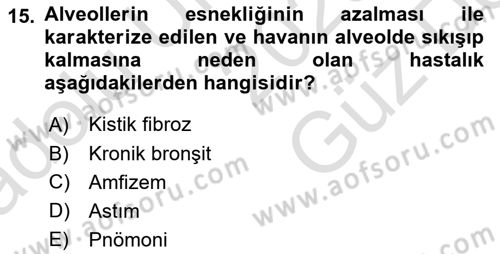 Tıp Terimleri Dersi 2025 - 2026 Yılı (Vize) Ara Sınav Soruları 15. Soru