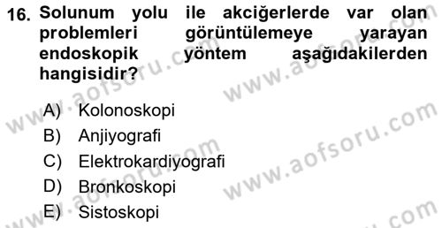 Tıp Terimleri Dersi 2025 - 2026 Yılı (Vize) Ara Sınav Soruları 16. Soru