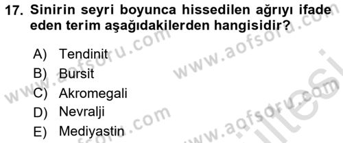 Tıp Terimleri Dersi 2025 - 2026 Yılı (Vize) Ara Sınav Soruları 17. Soru