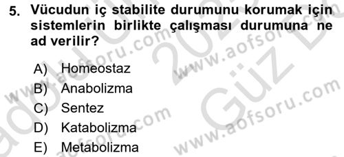 Tıp Terimleri Dersi 2025 - 2026 Yılı (Vize) Ara Sınav Soruları 5. Soru