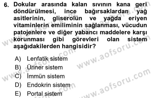 Tıp Terimleri Dersi 2025 - 2026 Yılı (Vize) Ara Sınav Soruları 6. Soru
