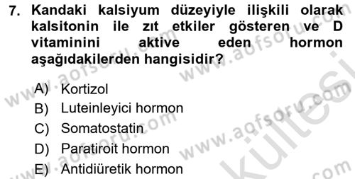 Tıp Terimleri Dersi 2025 - 2026 Yılı (Vize) Ara Sınav Soruları 7. Soru