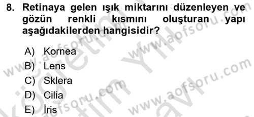 Tıp Terimleri Dersi 2025 - 2026 Yılı (Vize) Ara Sınav Soruları 8. Soru