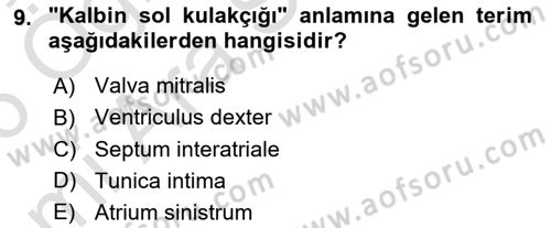 Tıp Terimleri Dersi 2025 - 2026 Yılı (Vize) Ara Sınav Soruları 9. Soru
