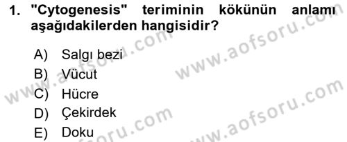 Tıp Terimleri Dersi 2025 - 2026 Yılı (Final) Dönem Sonu Sınav Soruları 1. Soru