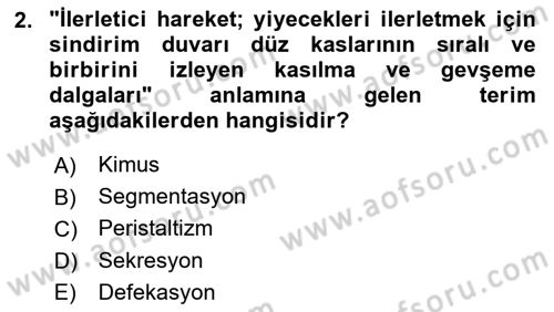 Tıp Terimleri Dersi 2025 - 2026 Yılı (Final) Dönem Sonu Sınav Soruları 2. Soru