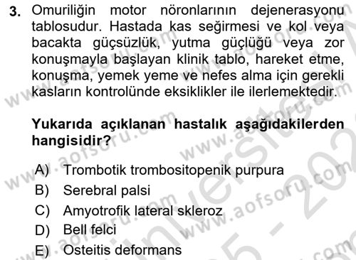 Tıp Terimleri Dersi 2025 - 2026 Yılı (Final) Dönem Sonu Sınav Soruları 3. Soru