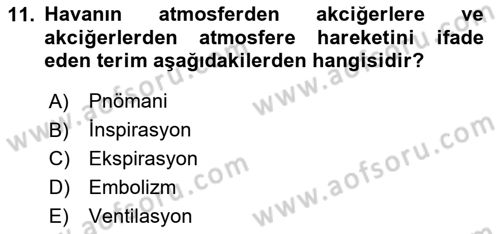 Tıp Terimleri Dersi 2025 - 2026 Yılı Yaz Okulu Sınav Soruları 11. Soru