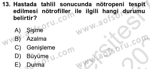 Tıp Terimleri Dersi 2025 - 2026 Yılı Yaz Okulu Sınav Soruları 13. Soru