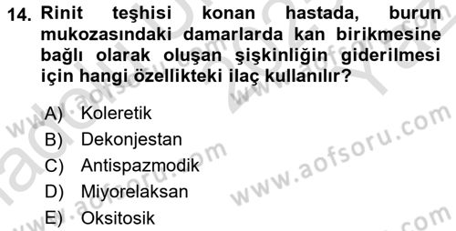 Tıp Terimleri Dersi 2025 - 2026 Yılı Yaz Okulu Sınav Soruları 14. Soru
