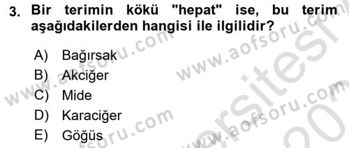 Tıp Terimleri Dersi 2025 - 2026 Yılı Yaz Okulu Sınav Soruları 3. Soru