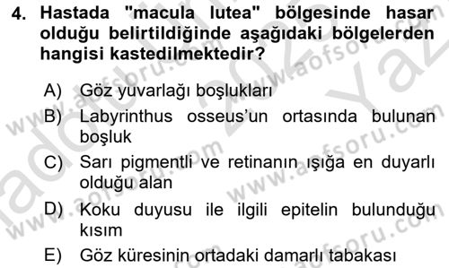 Tıp Terimleri Dersi 2025 - 2026 Yılı Yaz Okulu Sınav Soruları 4. Soru