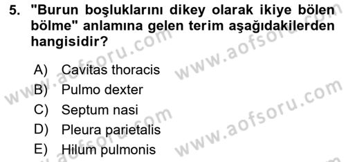 Tıp Terimleri Dersi 2025 - 2026 Yılı Yaz Okulu Sınav Soruları 5. Soru