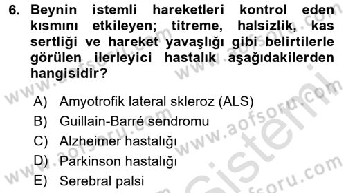 Tıp Terimleri Dersi 2025 - 2026 Yılı Yaz Okulu Sınav Soruları 6. Soru